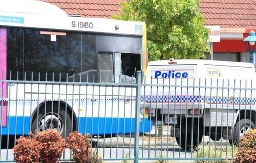 Najnowsze wiadomości o Kierowca autobusu Brisbane umiera po podpaleniu przez pasażera