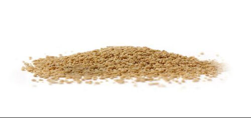 Najnowsze wiadomości o Proces granulacji w produkcji farmaceutycznej